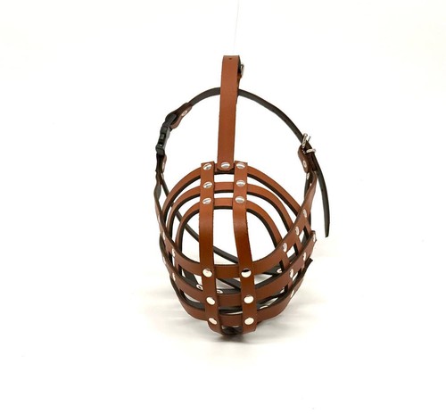 Light leather dog - light,