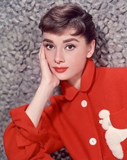 Audrey Hepburn 5x7 Movie