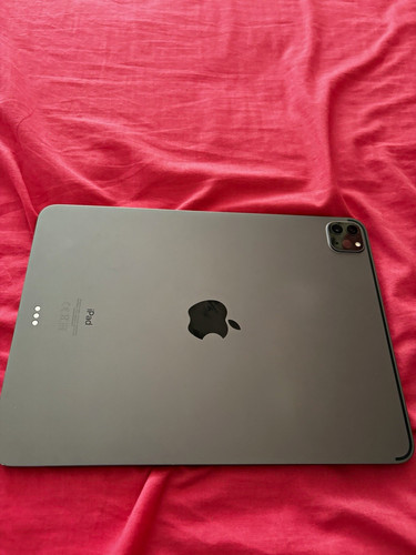 Apple ipad pro grey - pro,