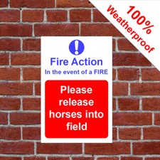 Horse Pony Stables Fire action