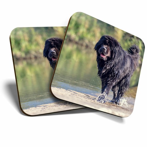 Coasters newfoundland - x,