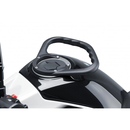 Puig passenger handle for - puig,