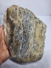 XL *MUSEUM QUALITY* 6" Sauropod Vertebra Dinosaur Fossil. Diplodocus? (Ref4009)