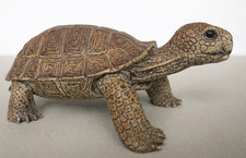 Realistic Tortoise Figurine