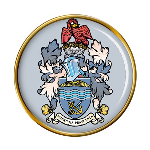 Central flying school raf pin - flying,