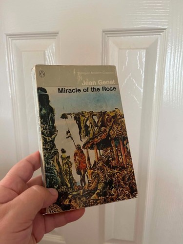 Miracle the rose - rose, jean