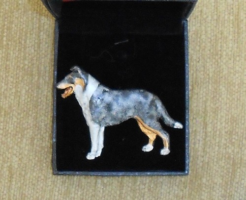Smooth collie blue merle - collie,