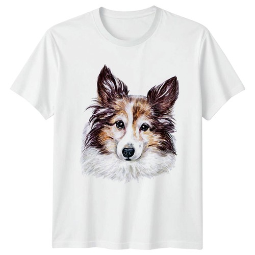 Watercolor shetland sheepdog - shetland,