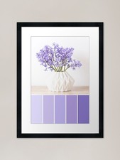 Bluebells Colour Palette in