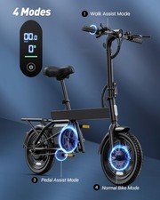 2026 adult urban - 2026,