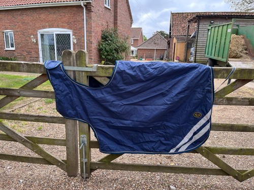 Mark todd exercise rug - todd,
