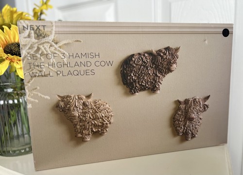 New next hamish - highland, cow