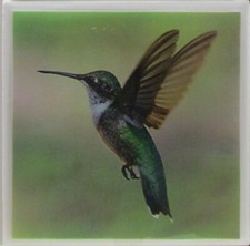 Ceramic Tile Coaster -