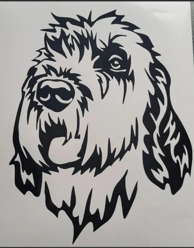 Italiano spinone decal - spinone,