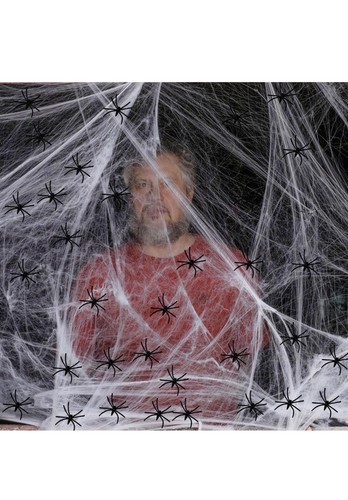 Halloween spider web - halloween,