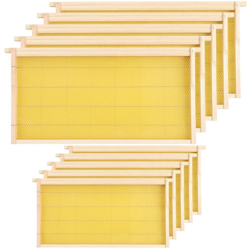 Pack breeins bee hive - 10,