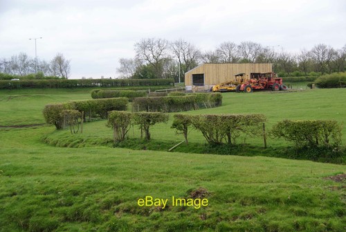 Winding hedge near - , house