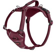 Anatomy Dog Harness with