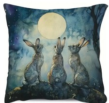 Super Soft Hare / Rabbits in
