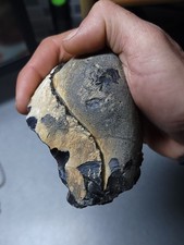 Unusual Flint Axe Tool