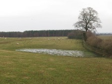 Photo 6x4 Pasture Land