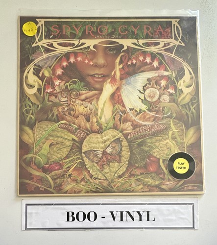 Spyro gyra morning - spyro,