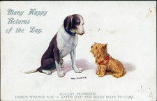 CAIRN TERRIER DOG Art Picture