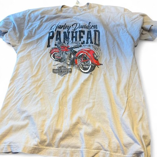 Grey harley davidson - davidson, panhead