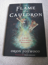 The Flame in the Cauldron book