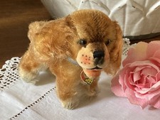 Original Steiff Dog Cockie Vintage 10cm chest tag 1952