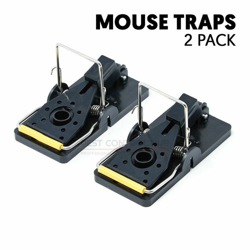 Mouse rat trap easy set - or,
