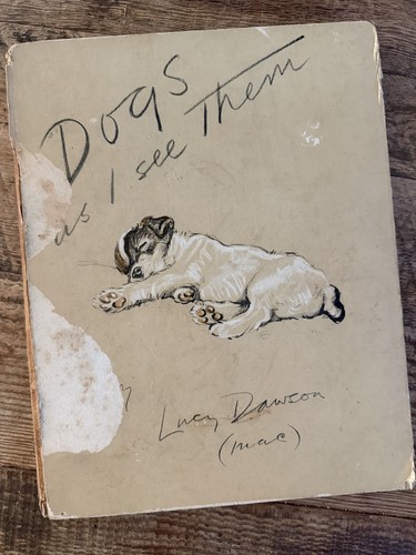 Lucy dawson first edition - /,