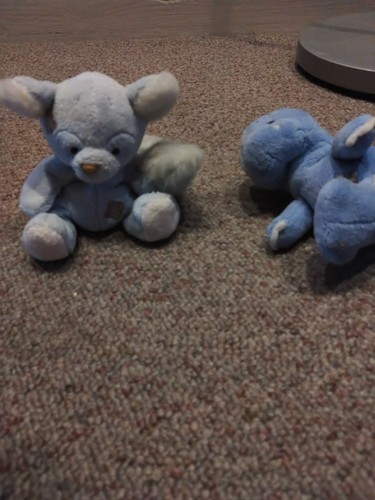 Blue nose and - blue, (2)