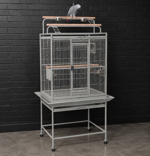Large dakota stone parrot - large, cage