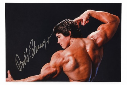 Arnold schwarzenegger 8x12 - arnold,