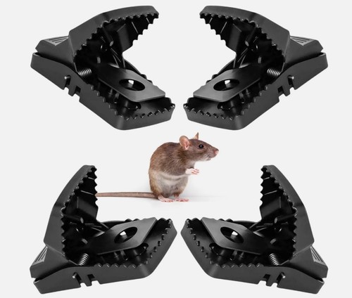 6pack rat traps - 6pack, that