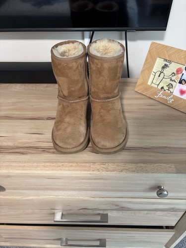 Cozy classic chestnut uggs - cozy,