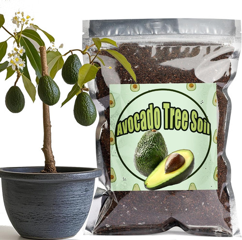 Organic avocado tree - avocado, soil