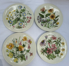 Enoch Wedgwood Wildflowers of