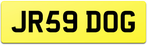 Jack russell dogs cheap car - jack,