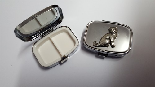 British shorthair cat c03 - shorthair,