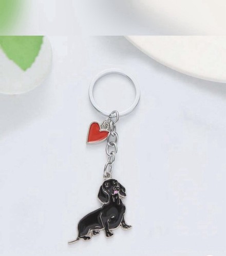 Black sausage dog daschund - dog,