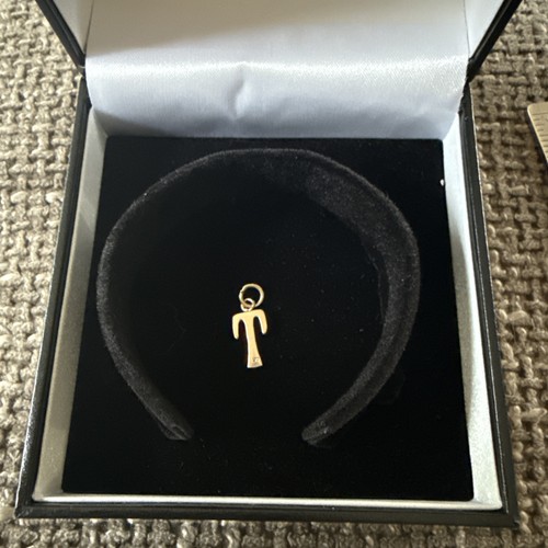 Solid 9ct gold - t, charm