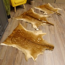 Male Deer 3 Pieces Skins Deer Skin Rug Carpet Decor Length 110-119 Cm