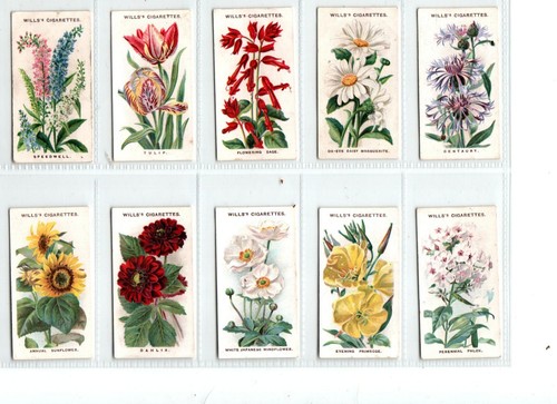 Wills old english garden - old,