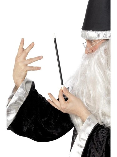 Magician wand wizard - wand,