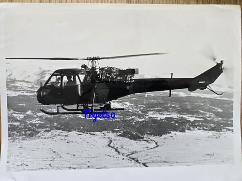 10x8 photo westland - 10x8,