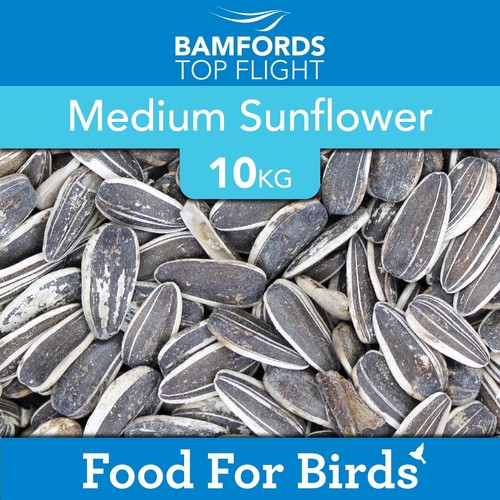 Premium striped sunflower - premium,