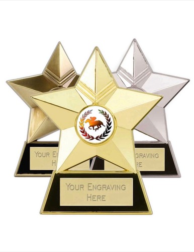Horse racing star metal plaque - star,