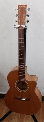 Simon patrick woodland folk - cw,